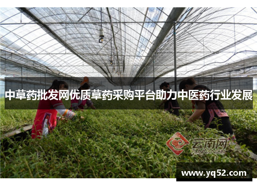中草药批发网优质草药采购平台助力中医药行业发展