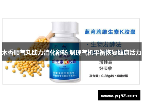 木香顺气丸助力消化舒畅 调理气机平衡恢复健康活力