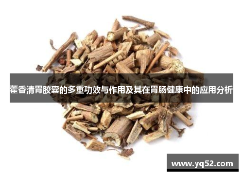 藿香清胃胶囊的多重功效与作用及其在胃肠健康中的应用分析