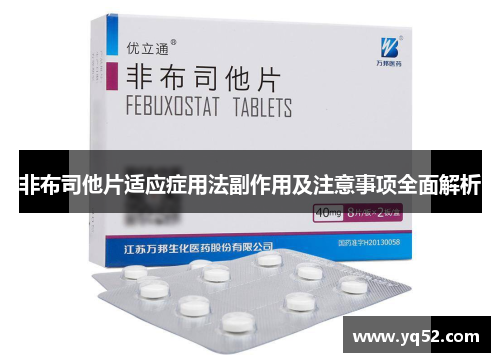 非布司他片适应症用法副作用及注意事项全面解析