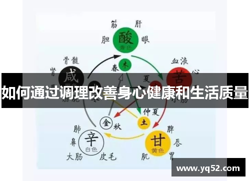 如何通过调理改善身心健康和生活质量