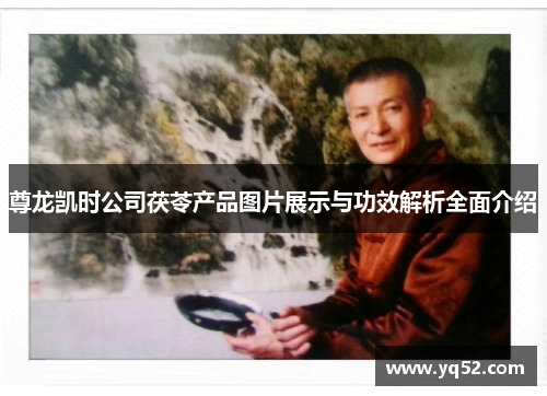 尊龙凯时公司茯苓产品图片展示与功效解析全面介绍