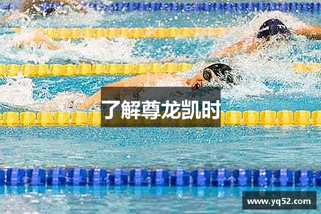 了解尊龙凯时